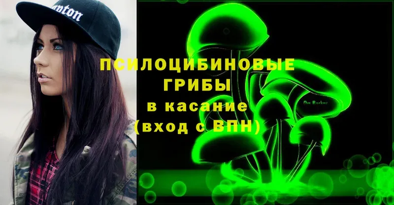 Псилоцибиновые грибы Magic Shrooms  Новозыбков 